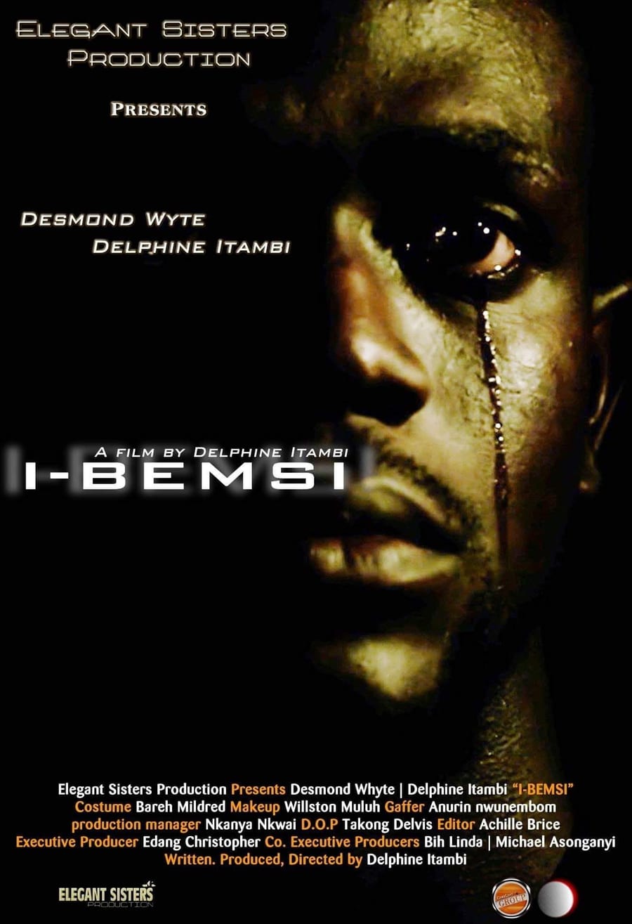 Official poster artwork for I-Bemsi.